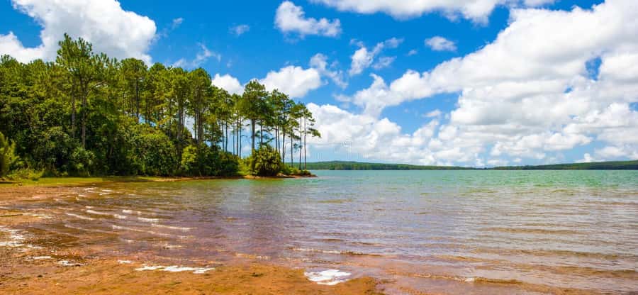 Mauritius: Guided Trip to the Southwest with Safari Tour - Casela Nature Park: African truck safari, Birds Paradise, and big cats