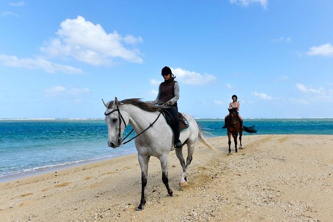 Mauritius Horse Riding at Riambel - Why Riambel Beach Horse Riding Feels Like a Real Escape
