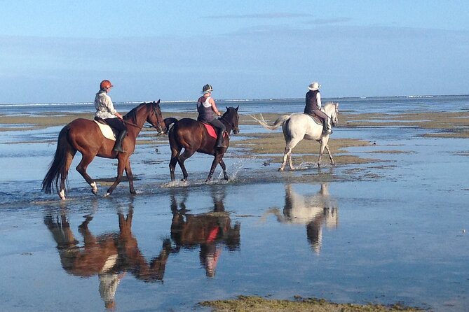 Mauritius Horse Riding at Riambel - Day vs Sunset: How Timing Works When the Beach Gets Golden