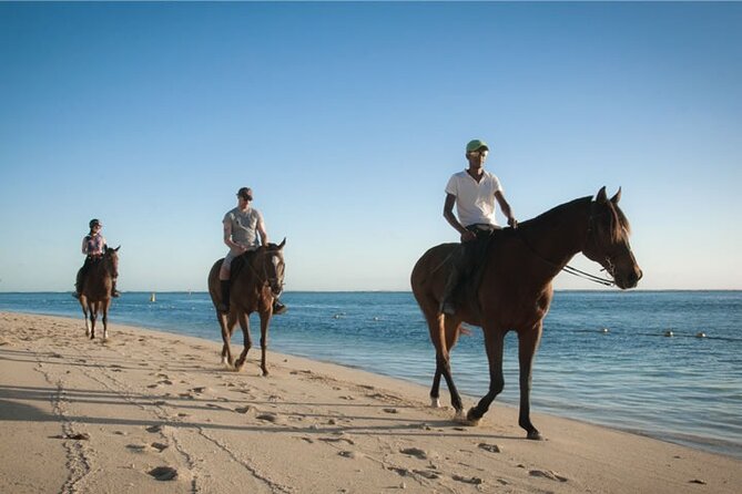 Mauritius Horse Riding at Riambel - Practical Tips So You Enjoy Every Minute of Your Ride