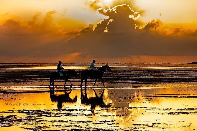 Mauritius Horse Riding at Riambel - The 1-Hour Ride Along Riambel Beach: Speed Choices and Beach-Only Reality