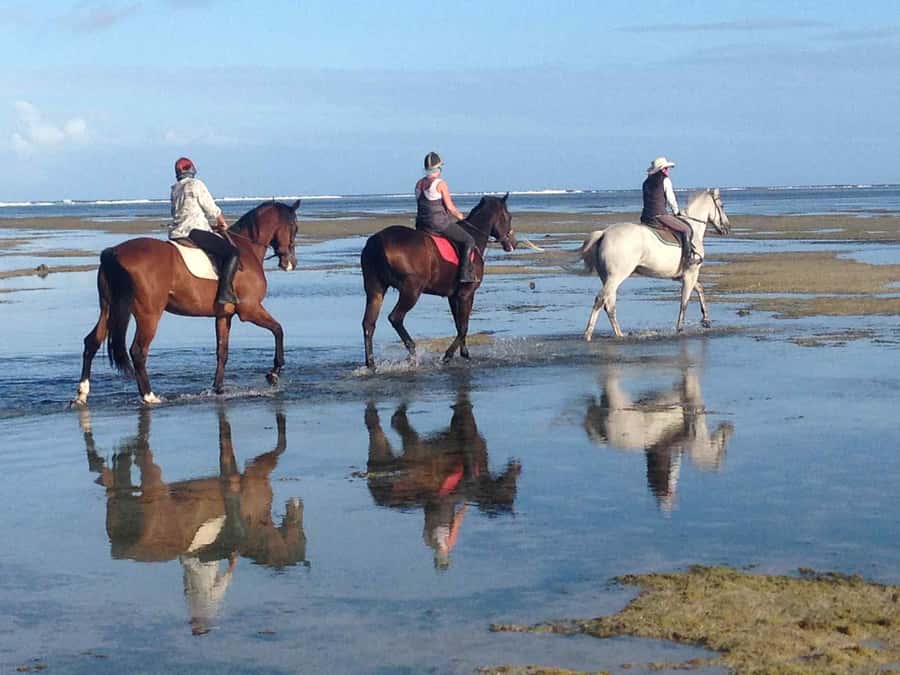 Mauritius: Horse riding on the deserted beach of Riambel - Riding Riambel’s deserted shoreline in Mauritius