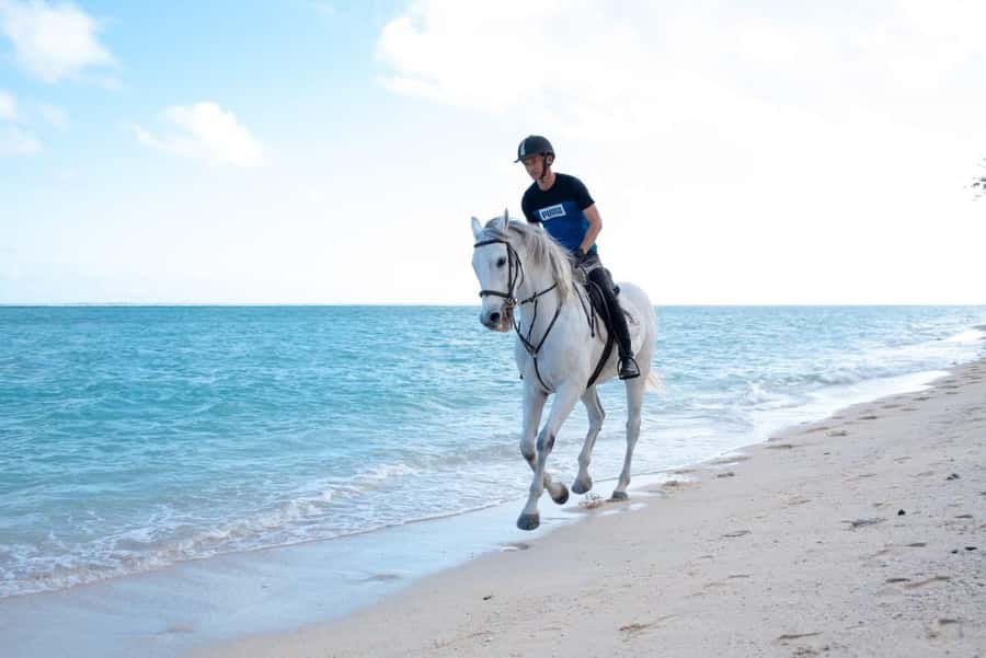 Mauritius: Horse riding on the deserted beach of Riambel - Personalized pace: walk, trot, and canter without the stress