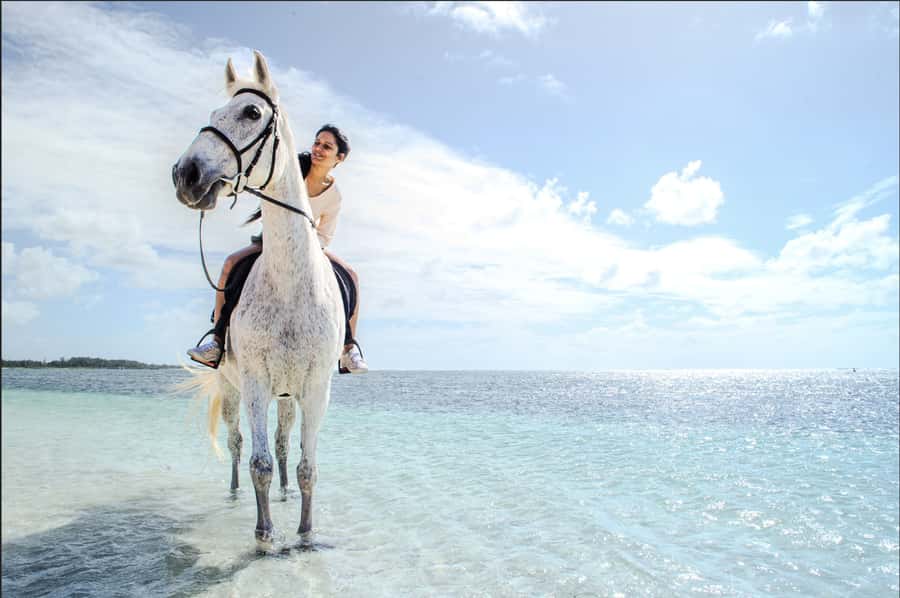 Mauritius: Horseback riding on the beach - Beach-Walk Horseback Riding at Belle Mare in Mauritius