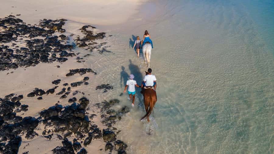 Mauritius: Horseback riding on the beach - Photos and video moments on Belle Mare without the awkward wait