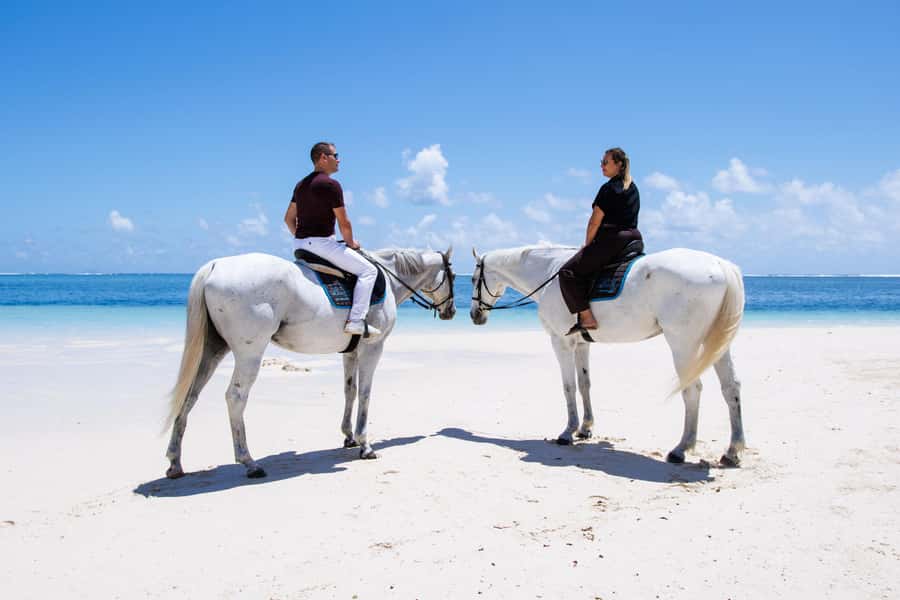 Mauritius: Horseback riding on the beach - Price and value: is $110 for a 1-hour beach ride worth it?