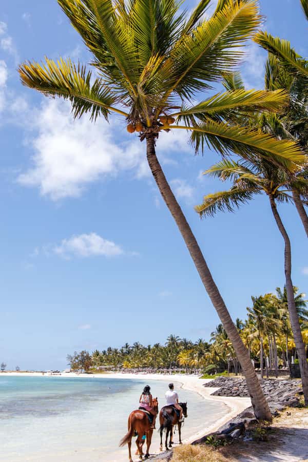 Mauritius: Horseback riding on the beach - Rider weight limits and safety reality check
