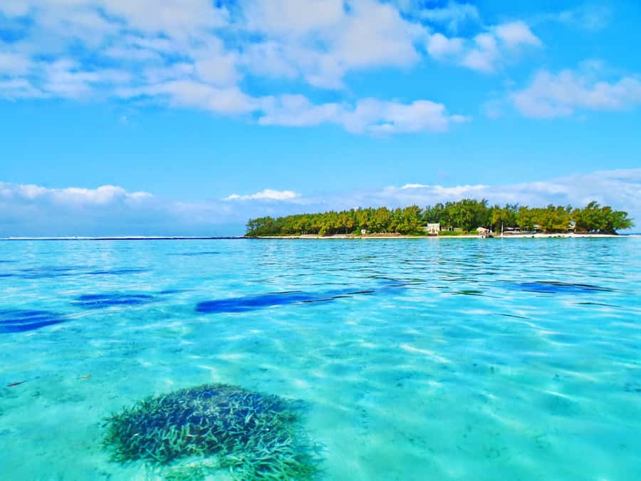 Mauritius: Ile aux Aigrettes Nature Reserve with Boat Ride - Ile aux Aigrettes is the reason this day feels like nature, not sightseeing