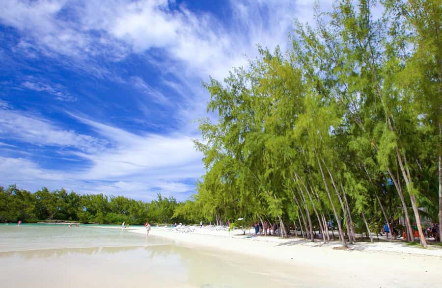 Mauritius: Ile aux Cerfs Boat Tour with BBQ Lunch and Drinks - Key Things I’d Plan Around