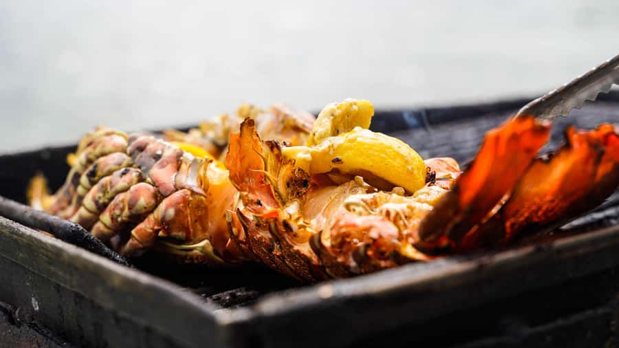 Mauritius: Ile aux Cerfs Boat Tour with BBQ Lunch and Drinks - What to Pack for a Speedboat Day (Do This, Not That)