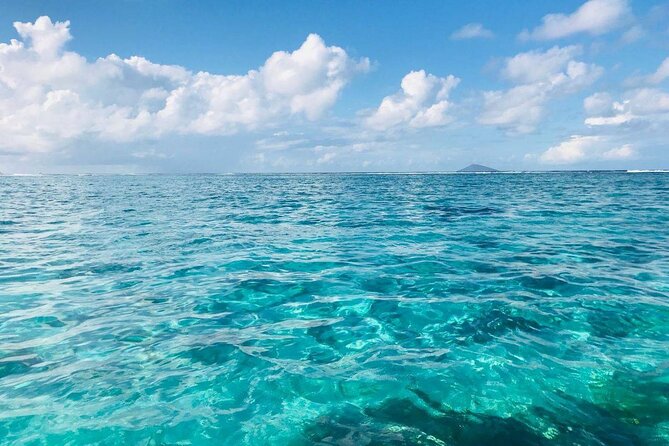 Mauritius: Ile Aux Cerfs Catamaran Tour with Lunch and Drinks - Key Highlights You Should Know
