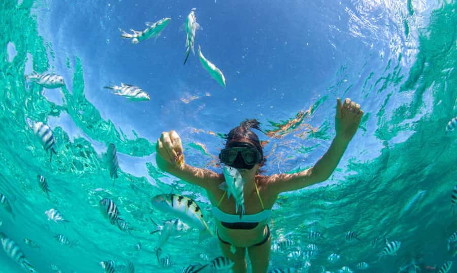 Mauritius: Ile Aux Cerfs Catamaran Trip w/ Lunch & Transfer - Snorkeling in clear lagoon water: short stop, good visibility, bring your own comfort