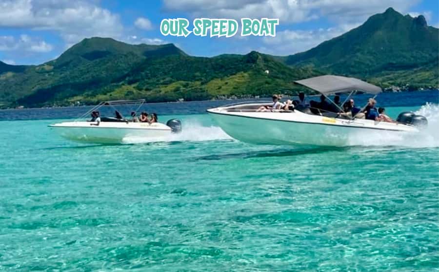 Mauritius: Ile aux Cerfs Speedboat Tour with Lunch & Drinks - The speedboat run through mangroves: why those twisted trees matter