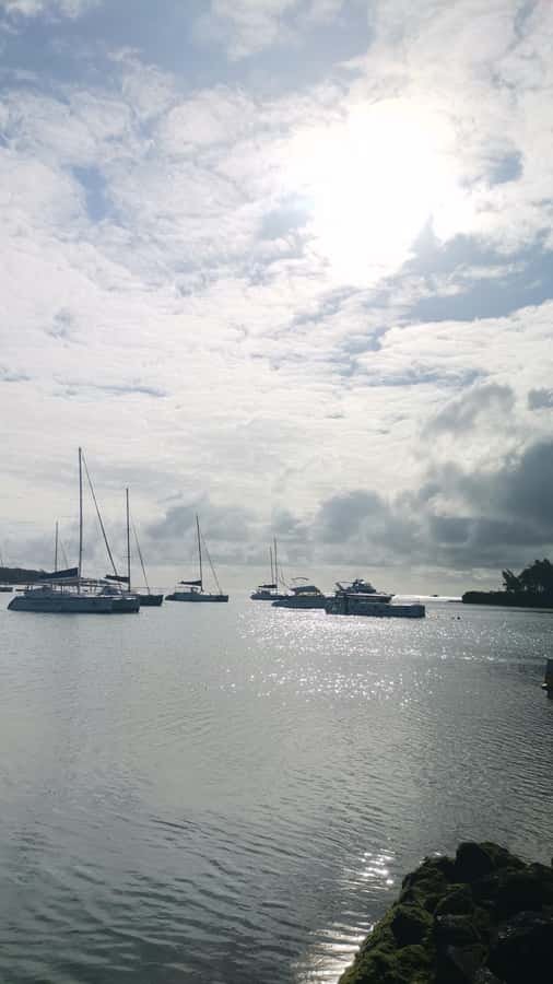 Mauritius: Ile aux cerfs, waterfalls and bbq Boat Day - Key Things I’d Focus On