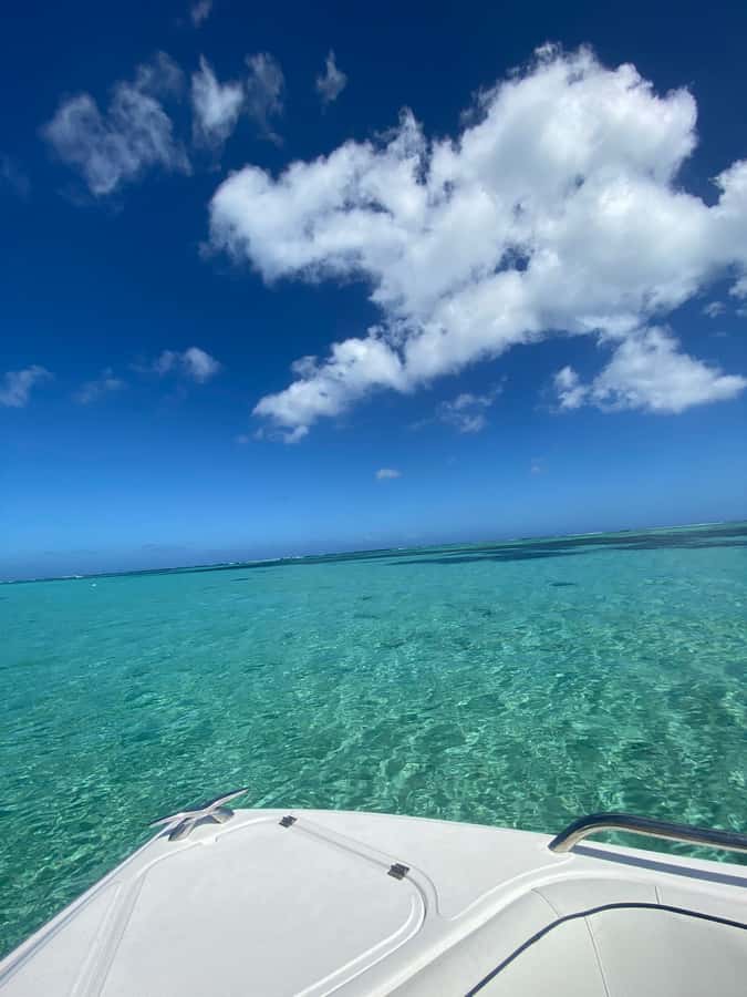 Mauritius Le Morne: Eco-Friendly Dolphin Watching Tour - Snorkelling the lagoon and the green turtle maybe