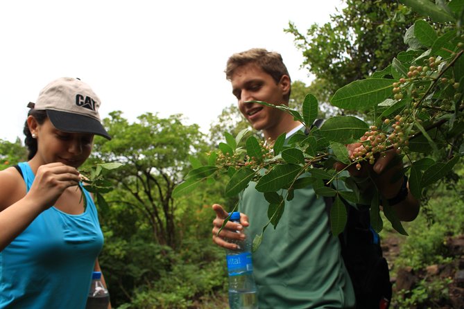 Mauritius Le Morne Hiking including transfer - Reaching the Summit: The Real Payoff Over Southern Mauritius