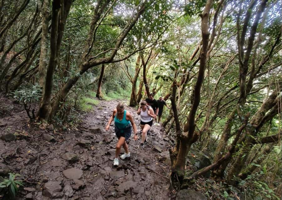 Mauritius: Le Pouce Guided Hiking Experience with a local - Key highlights that matter