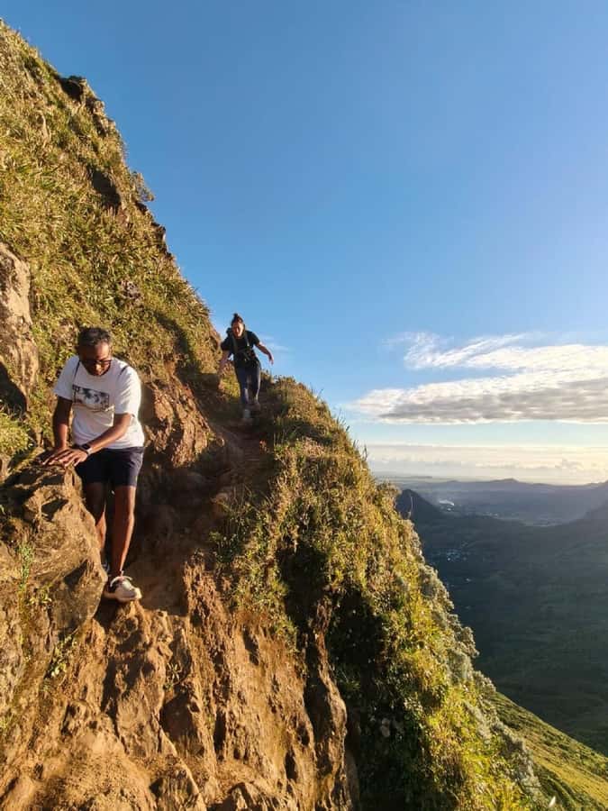 Mauritius: Le Pouce Guided Hiking Experience with a local - The trail to the summit: pace, plants, and the “watch your step” moments