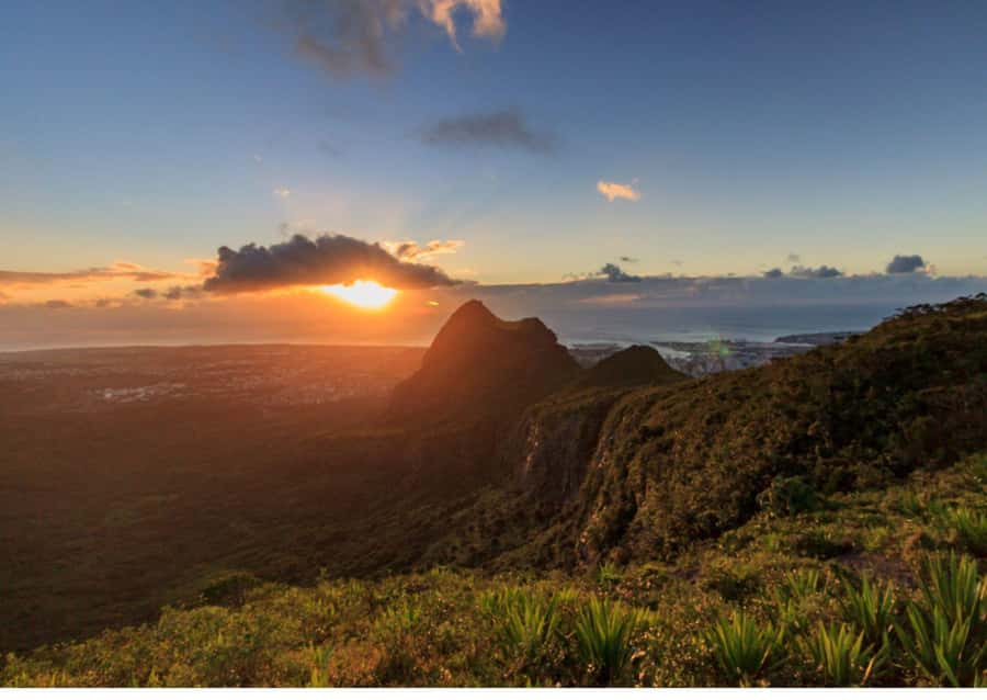 Mauritius: Le Pouce Guided Hiking Experience with a local - How the guide keeps you safe on a moderate hike