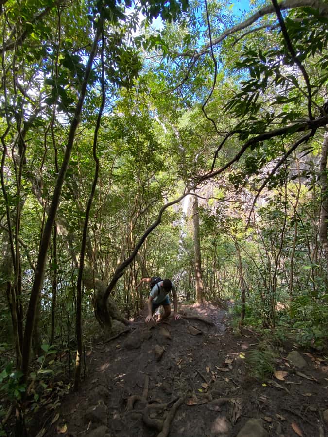 Mauritius Natirel : 7 cascades valley waterfall discovery - Weather reality check: mist, rain, and slippery trail time