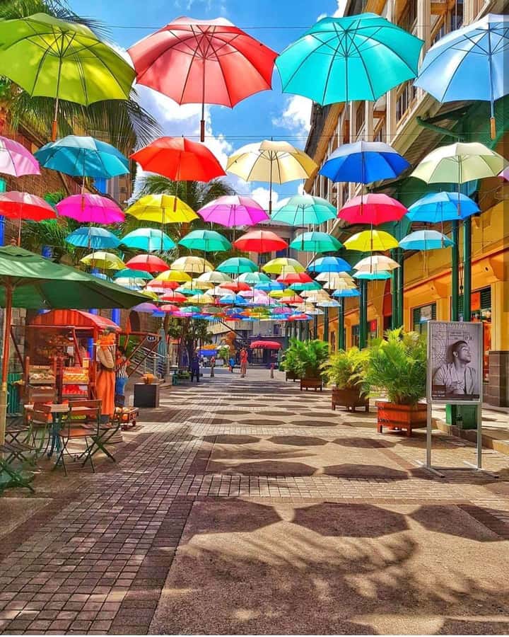 Mauritius North: Private Paradise Tour with Gardens, Markets - Key Highlights You’ll Feel Right Away