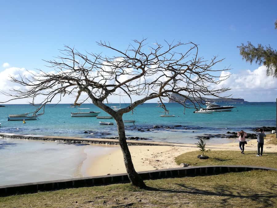 Mauritius North: Private Paradise Tour with Gardens, Markets - L’Aventure Du Sucre: Sugarcane to Rum Tasting