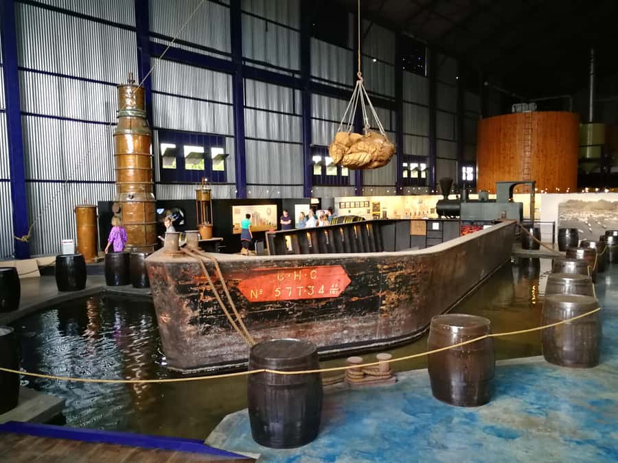 Mauritius North: Private Paradise Tour with Gardens, Markets - Timing Tips So You Don’t Feel Rushed