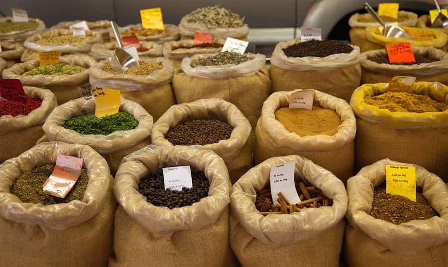 Mauritius: North Tour with Tea Tasting & Oceanarium Visit - Kuan Fu Tea tasting, a quiet pause that can make the day