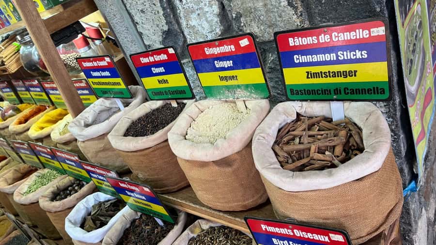 Mauritius: Northern Tour w/Port Louis Market, Temple & Beach - Pamplemousses Botanical Garden: giant water lilies and 100-year tortoises