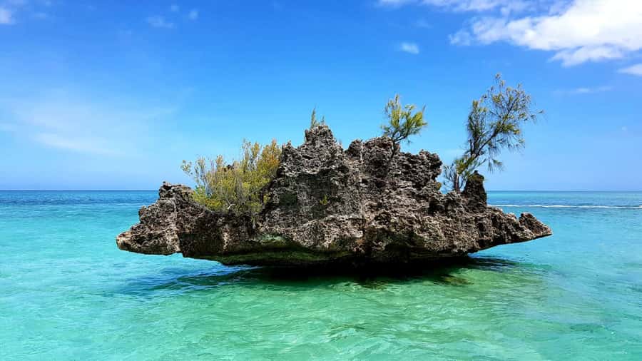 Mauritius: Ocean Swim with Dolphins - Where You Start at Martello Tower, and How to Find the Beach Quickly
