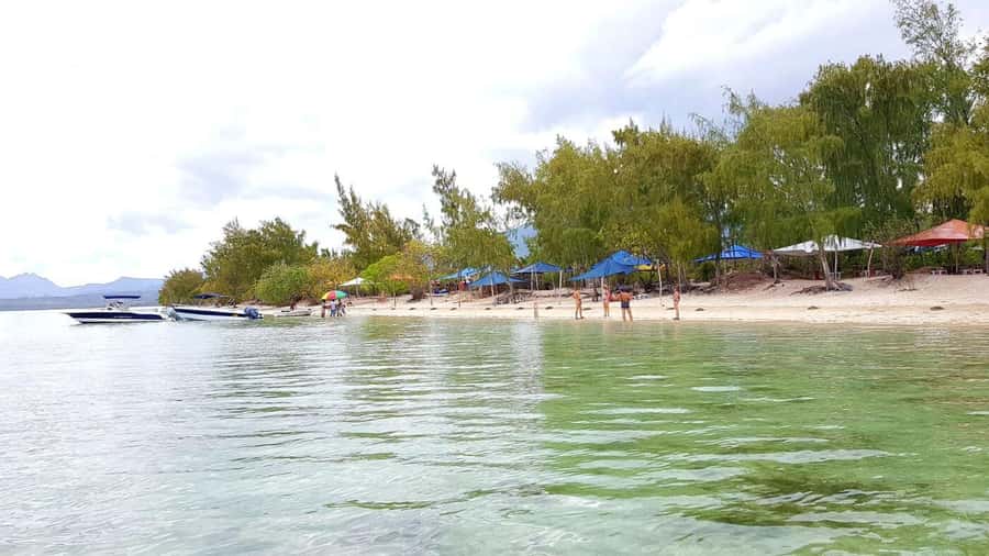 Mauritius: Ocean Swim with Dolphins - Crystal Rock: The Geology Stop That Gives You a Break From Salt Water
