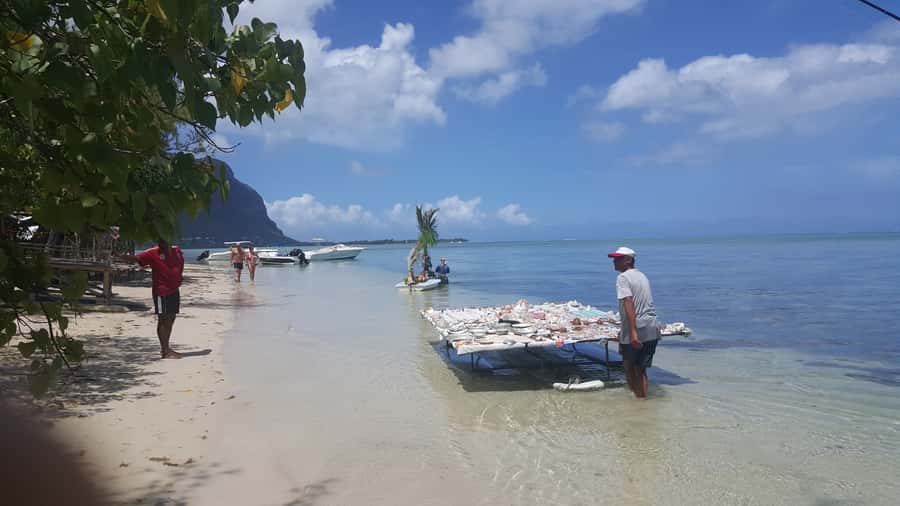 Mauritius: Ocean Swim with Dolphins - Price and Value: Is About $93 Really Fair for This Mix?