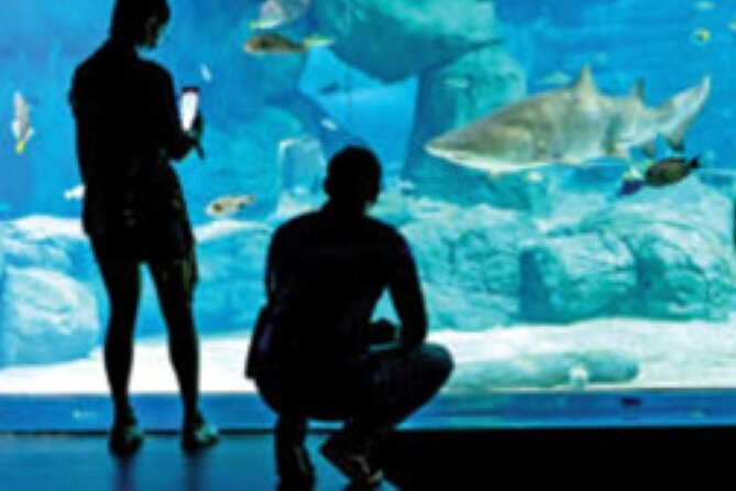 Mauritius Odysseo Oceanarium in Port Louis - Ticket Value: Is $42 Worth It for an Oceanarium Stop?