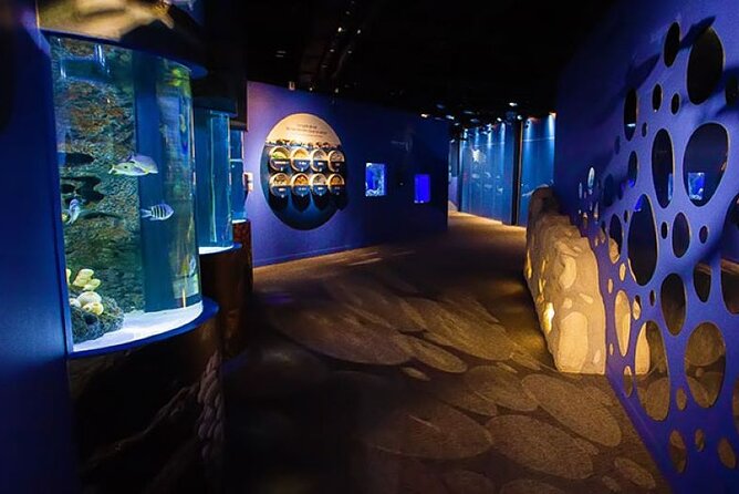 Mauritius Odysseo Oceanarium in Port Louis - Education With Real Messaging: Pollution, Reefs, and Awareness