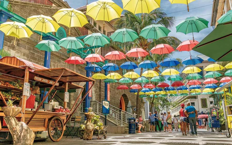 Mauritius: Port Louis and Northern Highlights Full-Day Trip - Key points before you go