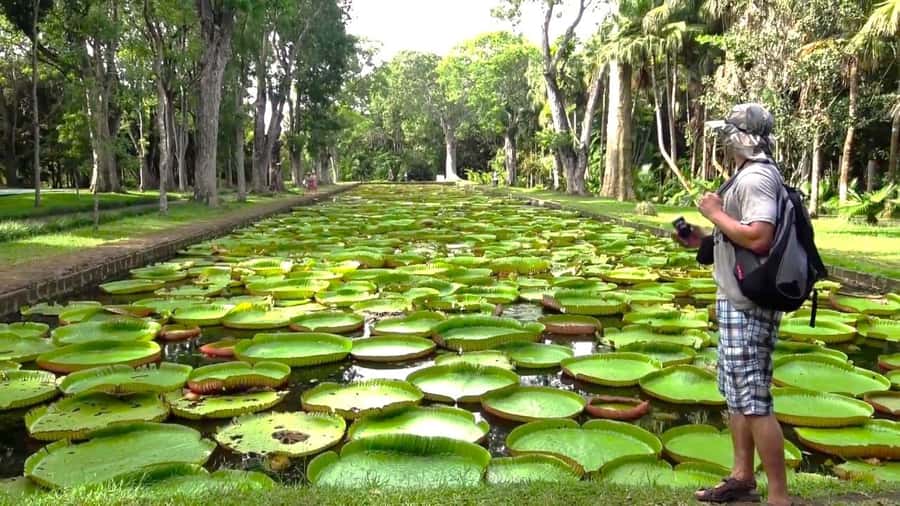 Mauritius: Port Louis and Northern Highlights Full-Day Trip - Caudan Waterfront, your harbor break and shopping reset