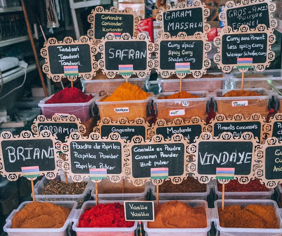 Mauritius: Port Louis and Northern Highlights Full-Day Trip - Timing, transport, and how to fit everything into eight hours