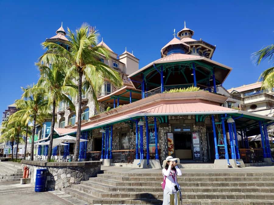 Mauritius: Port Louis and Northern Highlights Full-Day Trip - Who this tour fits best (and who should choose something else)