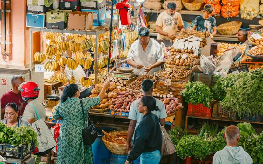 Mauritius: Port Louis and Northern Highlights Full-Day Trip - Central Market in Port Louis, where Dholl Puri makes sense