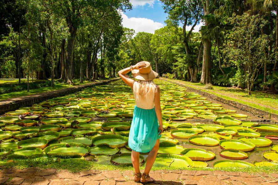 Mauritius: Private Full-Day Iconic Instagram Spots - A First-Time Mauritius Route That Actually Makes Sense