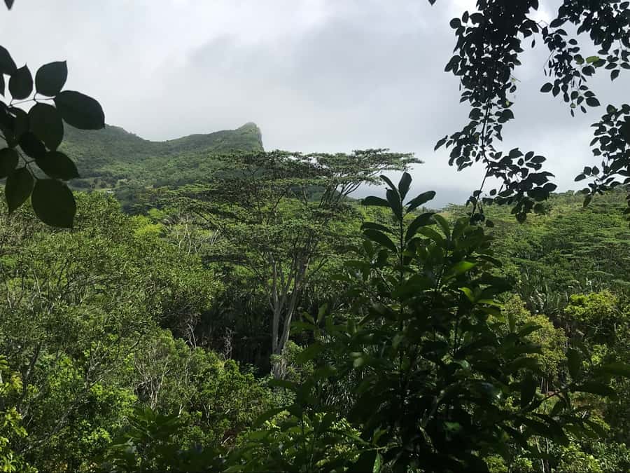 Mauritius: Private Full-Day Iconic Instagram Spots - Ganga Talo Temple: Lord Shiva, Very Tall Statues, and Proper Dress
