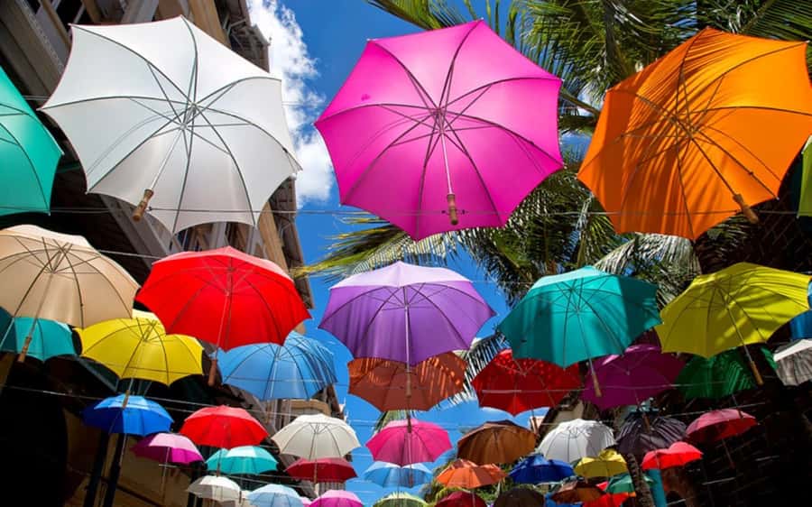 Mauritius: Private Full-Day Iconic Instagram Spots - Chamarel Falls: The Big Single Drop Finale