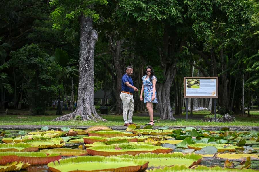 Mauritius: Private Full-Day North Mauritius Tour - Port Louis to Pamplemousses, a smart northern sampler