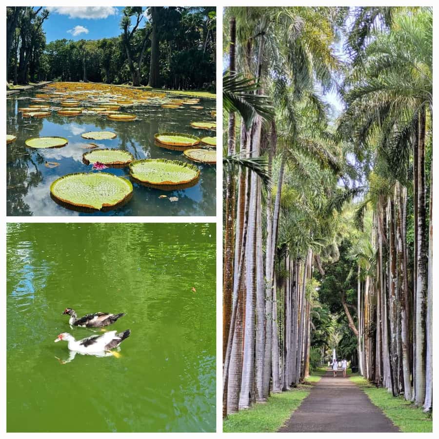 Mauritius: Private Full-Day North Tours - Caudan Waterfront: Shopping and a Long Look at the Indian Ocean