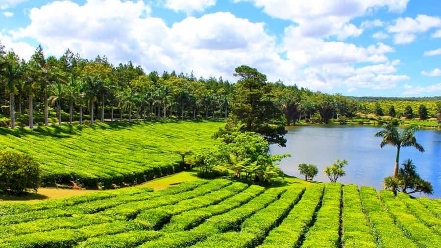 Mauritius: Private Full-Day South Mauritius Tour - Key highlights worth caring about