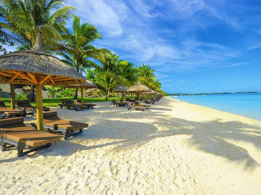 Mauritius: Private Full-Day Tour of the North Coast - Price and Logistics: What $136 Buys for Up to 3
