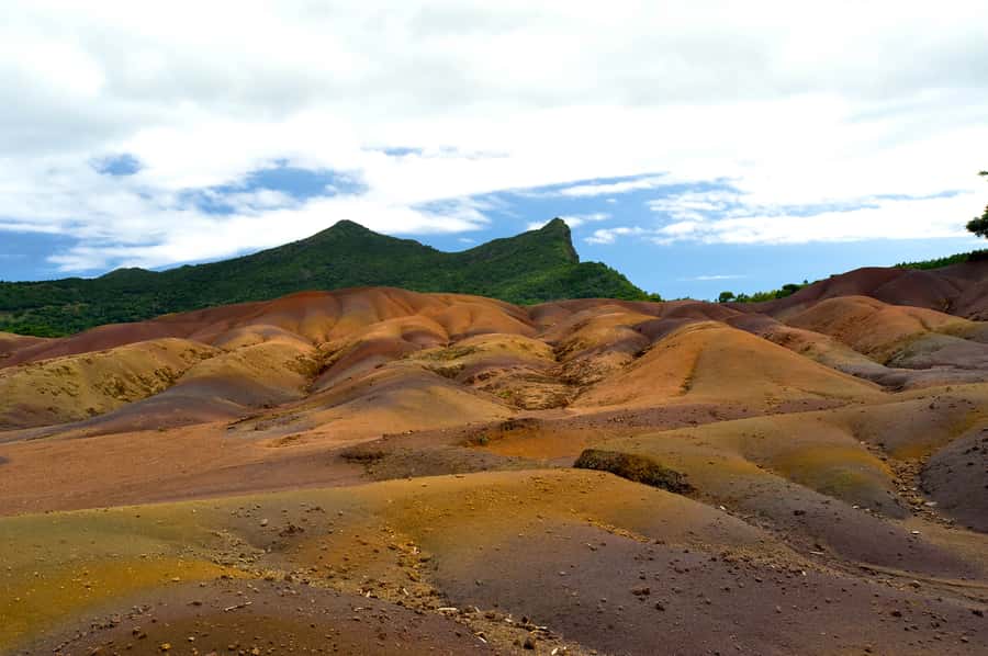 Mauritius: Private Full Day Tour with Entry Tickets & Lunch - About the Optional Rhumerie Stop