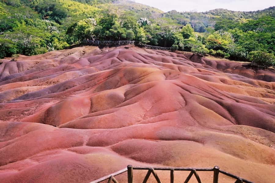 Mauritius: Private Full Day Tour with Entry Tickets & Lunch - Alexandra Falls Viewpoint, Black River Gorges, and the “Views Need Weather” Reality