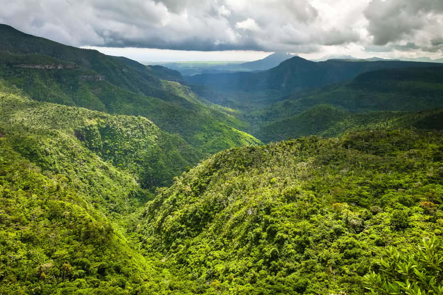 Mauritius: Private Full Day Tour with Entry Tickets & Lunch - Trou aux Cerfs, Dead Volcano Crater Views, and the Central Plateau Advantage