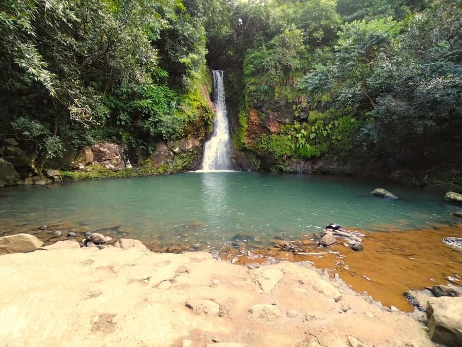 Mauritius: Private South Day Tour with Hotel Transfer - Key things that make this tour work